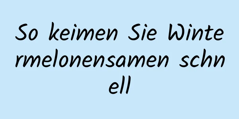 So keimen Sie Wintermelonensamen schnell