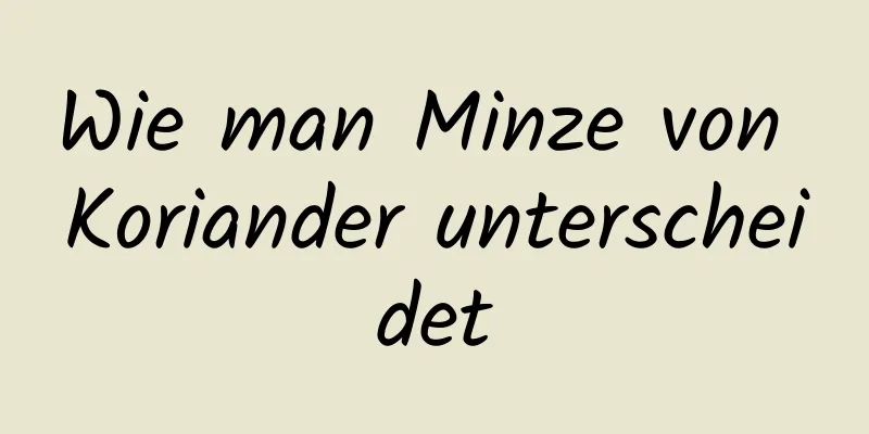 Wie man Minze von Koriander unterscheidet