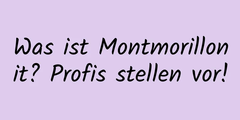 Was ist Montmorillonit? Profis stellen vor!