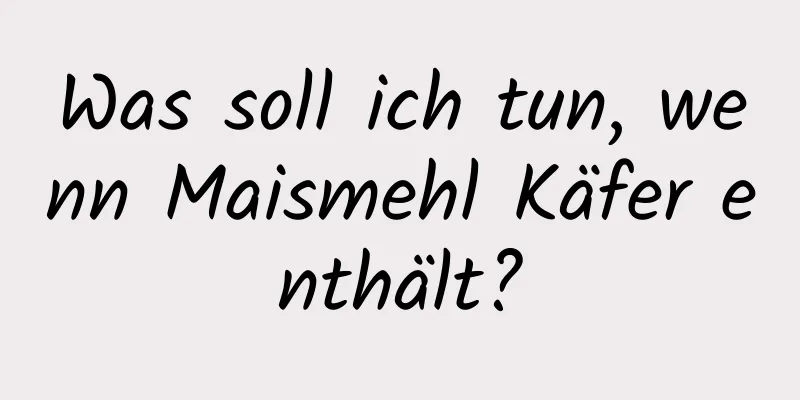 Was soll ich tun, wenn Maismehl Käfer enthält?