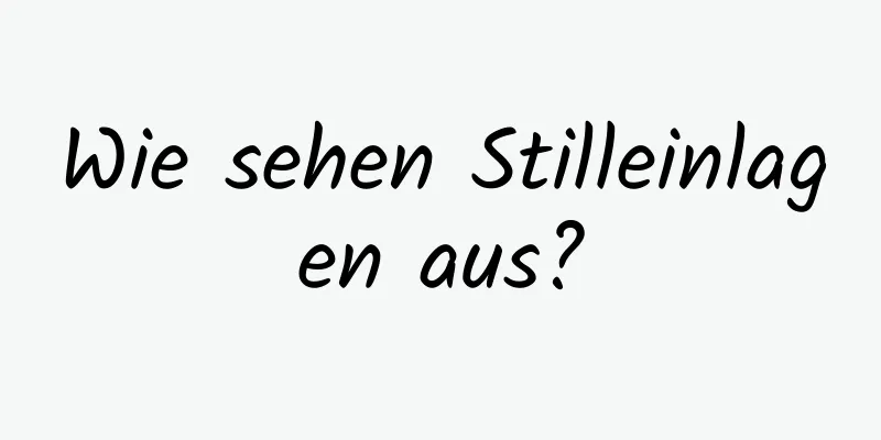 Wie sehen Stilleinlagen aus?