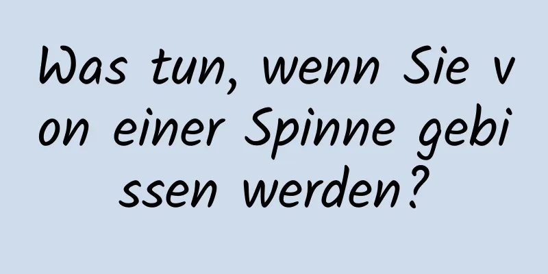 Was tun, wenn Sie von einer Spinne gebissen werden?
