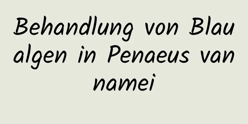 Behandlung von Blaualgen in Penaeus vannamei