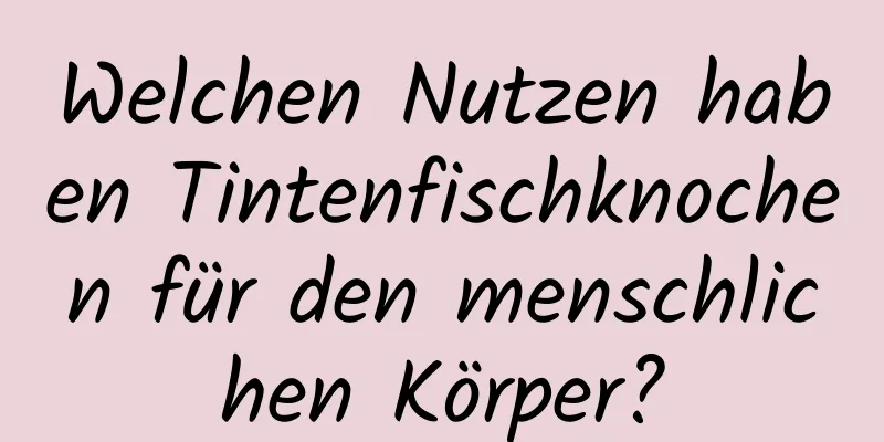 Welchen Nutzen haben Tintenfischknochen für den menschlichen Körper?