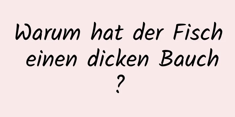 Warum hat der Fisch einen dicken Bauch?
