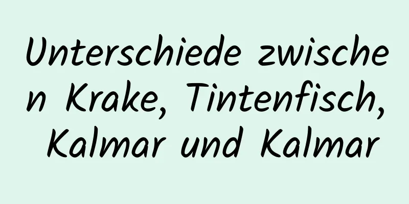 Unterschiede zwischen Krake, Tintenfisch, Kalmar und Kalmar