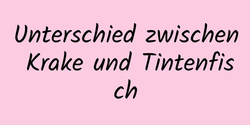 Unterschied zwischen Krake und Tintenfisch
