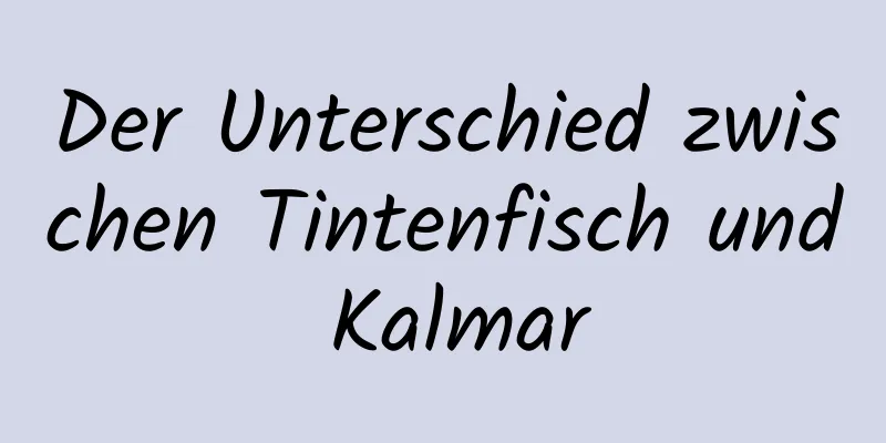 Der Unterschied zwischen Tintenfisch und Kalmar