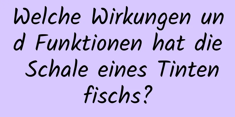 Welche Wirkungen und Funktionen hat die Schale eines Tintenfischs?
