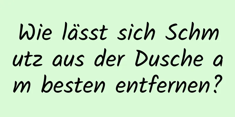 Wie lässt sich Schmutz aus der Dusche am besten entfernen?