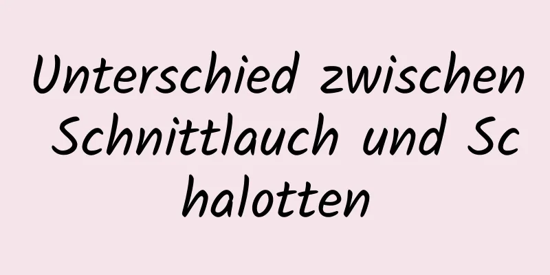 Unterschied zwischen Schnittlauch und Schalotten