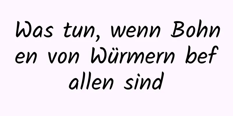 Was tun, wenn Bohnen von Würmern befallen sind