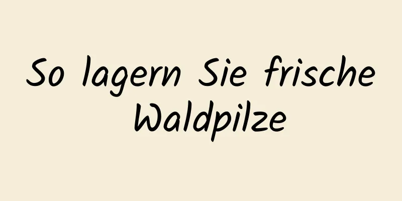 So lagern Sie frische Waldpilze