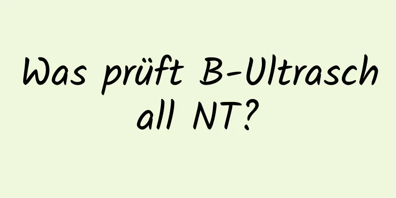Was prüft B-Ultraschall NT?