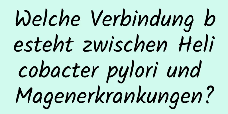 Welche Verbindung besteht zwischen Helicobacter pylori und Magenerkrankungen?