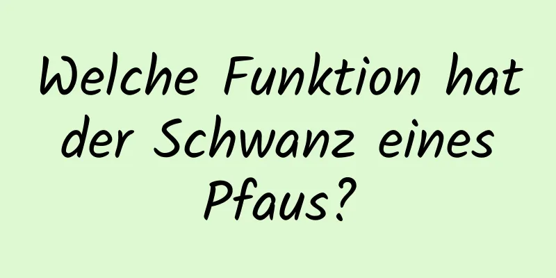 Welche Funktion hat der Schwanz eines Pfaus?