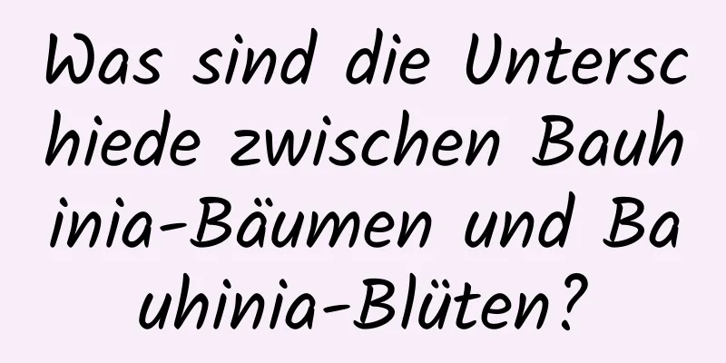 Was sind die Unterschiede zwischen Bauhinia-Bäumen und Bauhinia-Blüten?