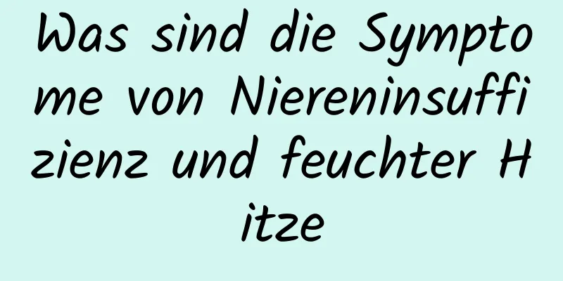 Was sind die Symptome von Niereninsuffizienz und feuchter Hitze