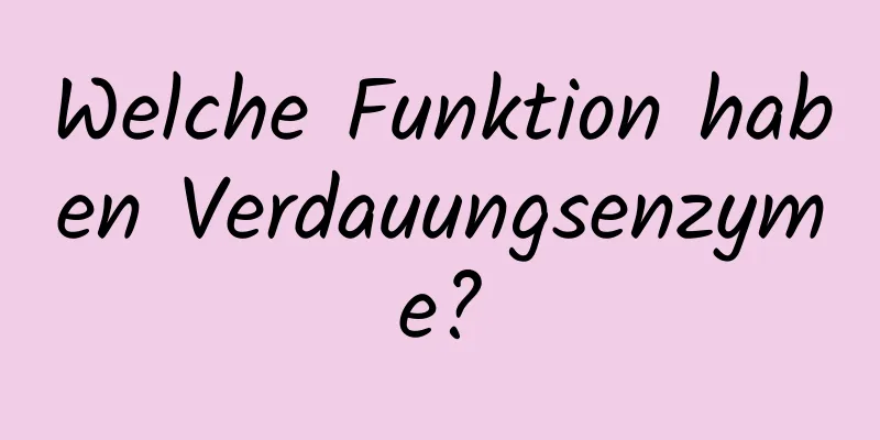 Welche Funktion haben Verdauungsenzyme?