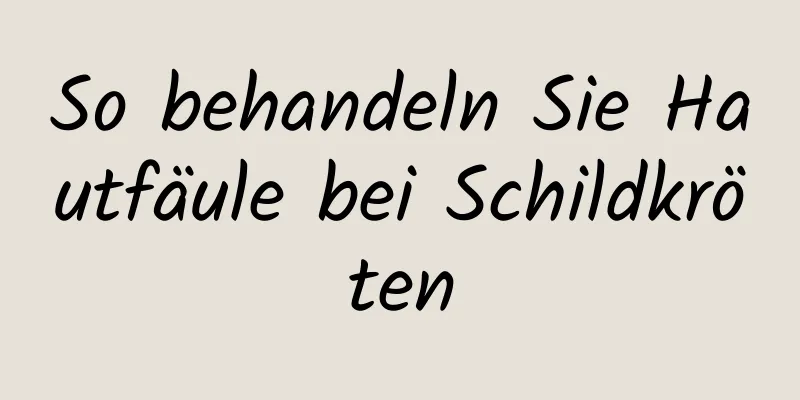 So behandeln Sie Hautfäule bei Schildkröten