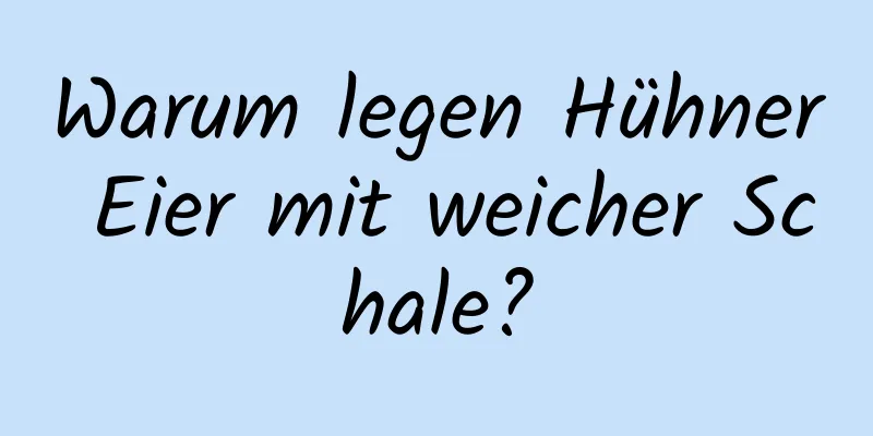 Warum legen Hühner Eier mit weicher Schale?