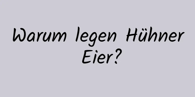 Warum legen Hühner Eier?