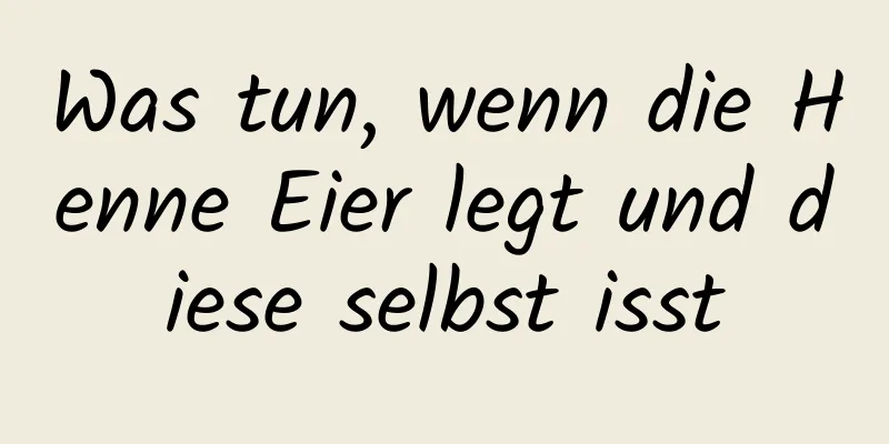 Was tun, wenn die Henne Eier legt und diese selbst isst