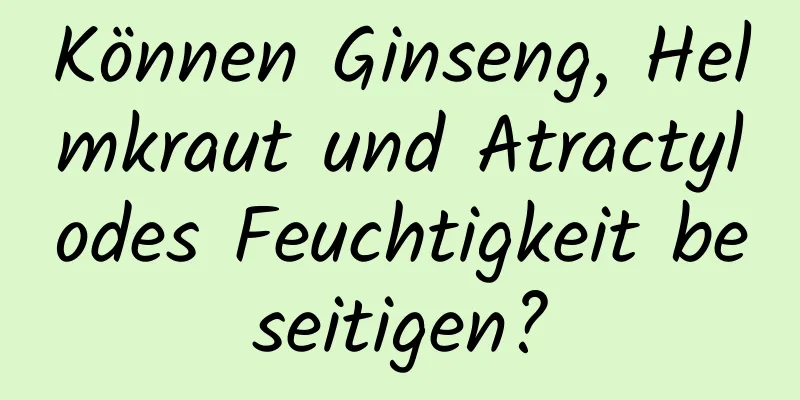 Können Ginseng, Helmkraut und Atractylodes Feuchtigkeit beseitigen?