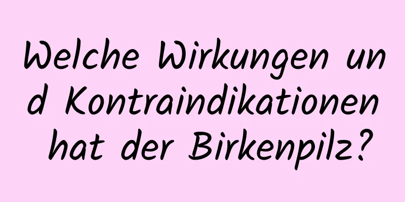 Welche Wirkungen und Kontraindikationen hat der Birkenpilz?