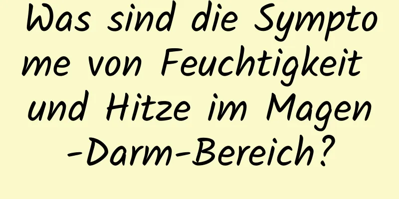 Was sind die Symptome von Feuchtigkeit und Hitze im Magen-Darm-Bereich?