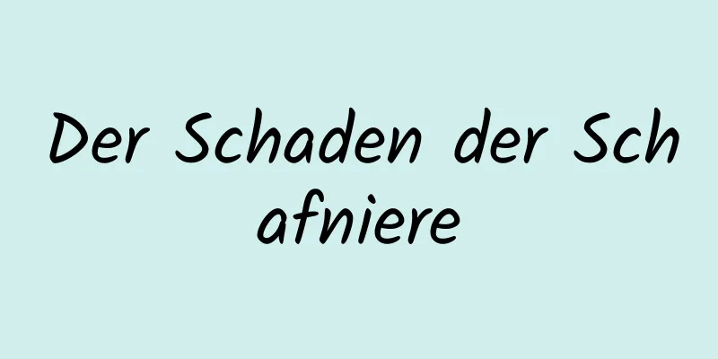 Der Schaden der Schafniere