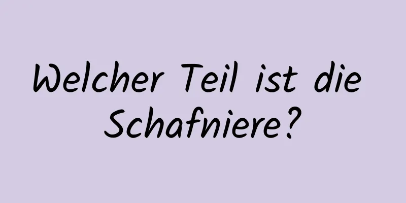 Welcher Teil ist die Schafniere?