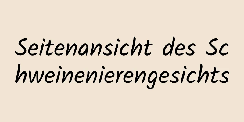 Seitenansicht des Schweinenierengesichts