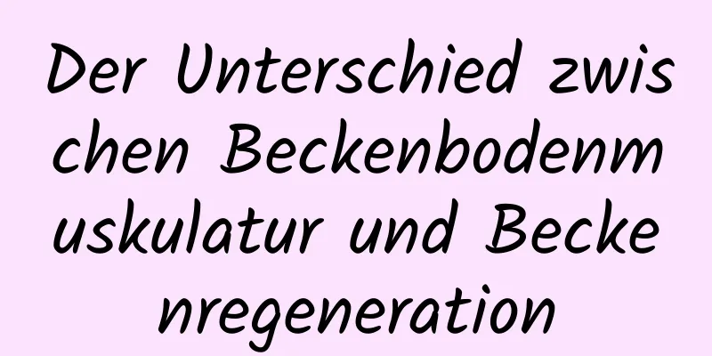 Der Unterschied zwischen Beckenbodenmuskulatur und Beckenregeneration