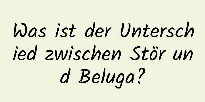 Was ist der Unterschied zwischen Stör und Beluga?