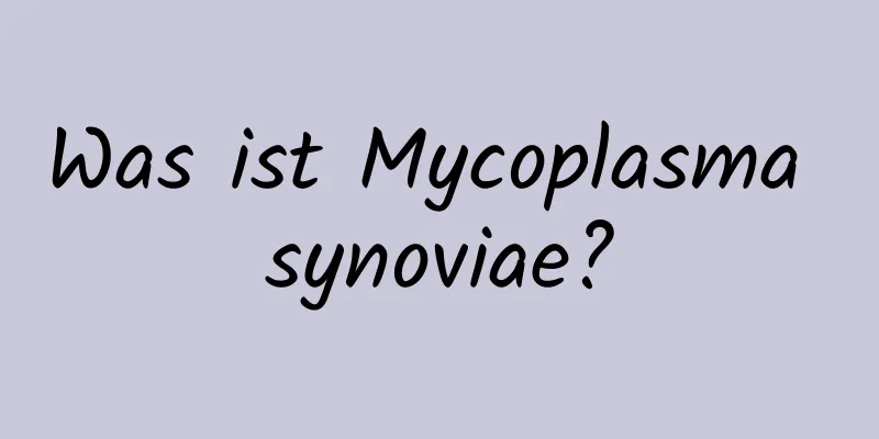 Was ist Mycoplasma synoviae?