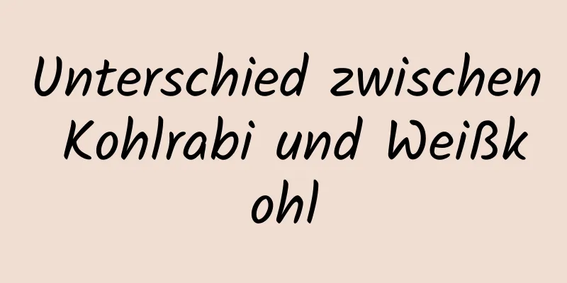 Unterschied zwischen Kohlrabi und Weißkohl