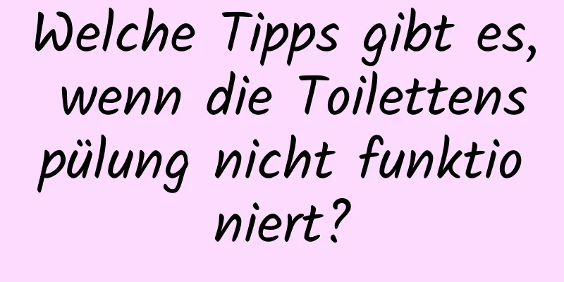 Welche Tipps gibt es, wenn die Toilettenspülung nicht funktioniert?
