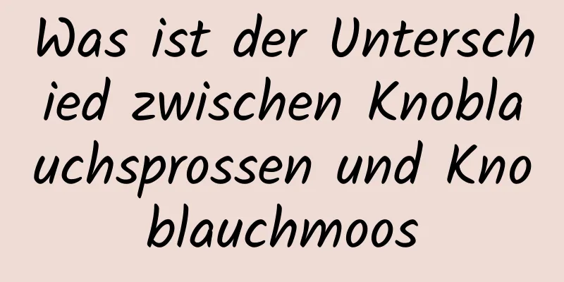 Was ist der Unterschied zwischen Knoblauchsprossen und Knoblauchmoos