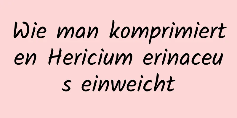 Wie man komprimierten Hericium erinaceus einweicht