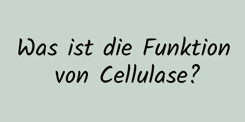 Was ist die Funktion von Cellulase?