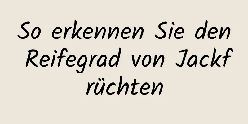 So erkennen Sie den Reifegrad von Jackfrüchten