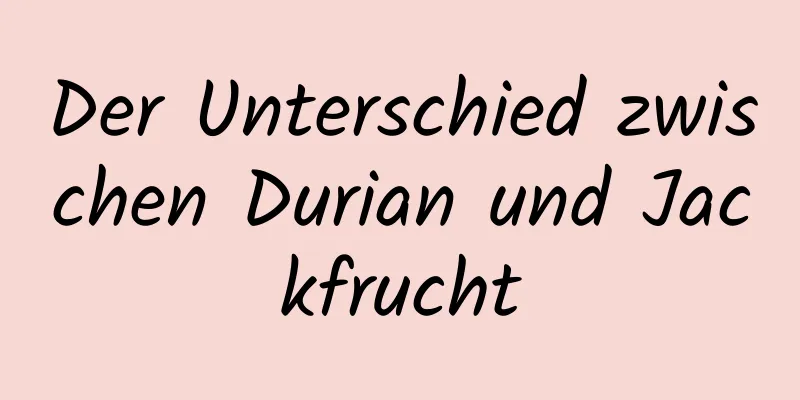 Der Unterschied zwischen Durian und Jackfrucht