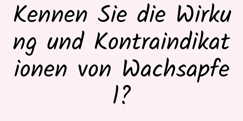 Kennen Sie die Wirkung und Kontraindikationen von Wachsapfel?
