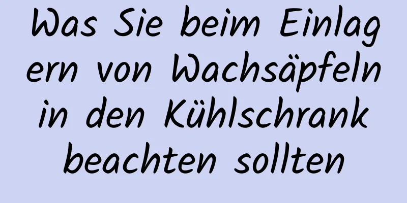 Was Sie beim Einlagern von Wachsäpfeln in den Kühlschrank beachten sollten