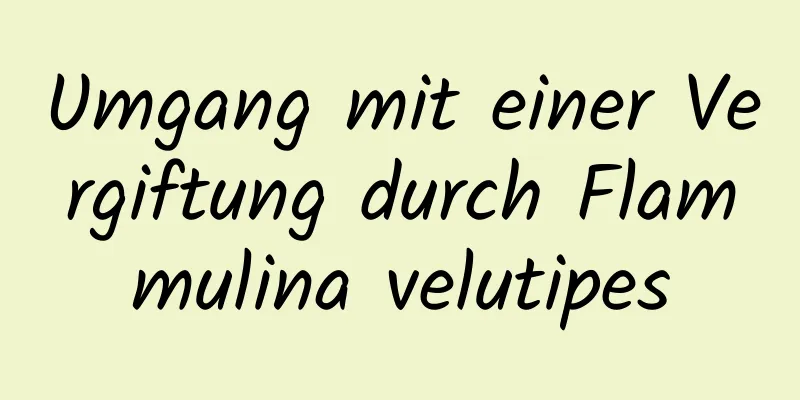 Umgang mit einer Vergiftung durch Flammulina velutipes
