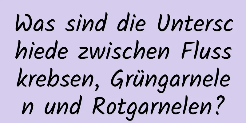Was sind die Unterschiede zwischen Flusskrebsen, Grüngarnelen und Rotgarnelen?