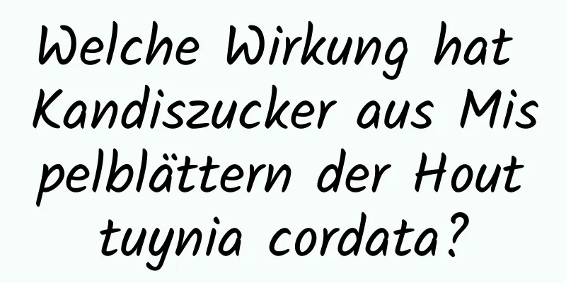 Welche Wirkung hat Kandiszucker aus Mispelblättern der Houttuynia cordata?