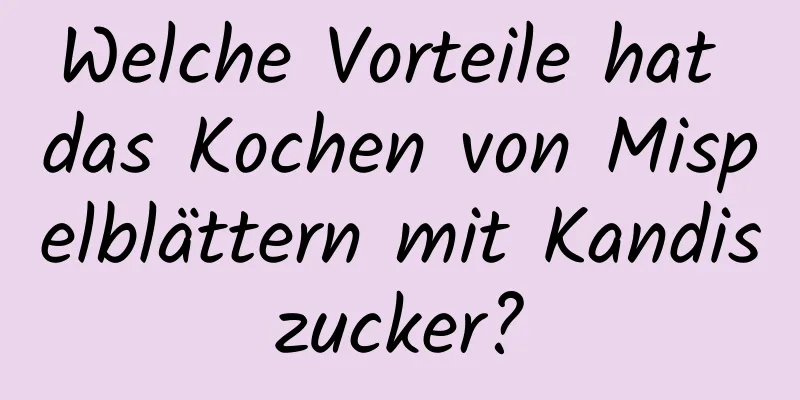 Welche Vorteile hat das Kochen von Mispelblättern mit Kandiszucker?