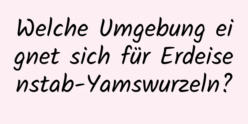 Welche Umgebung eignet sich für Erdeisenstab-Yamswurzeln?